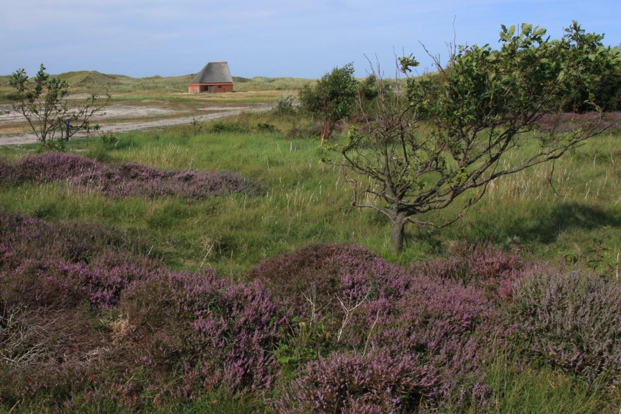 'T Lant Van Texsel De Koog  Esterno foto