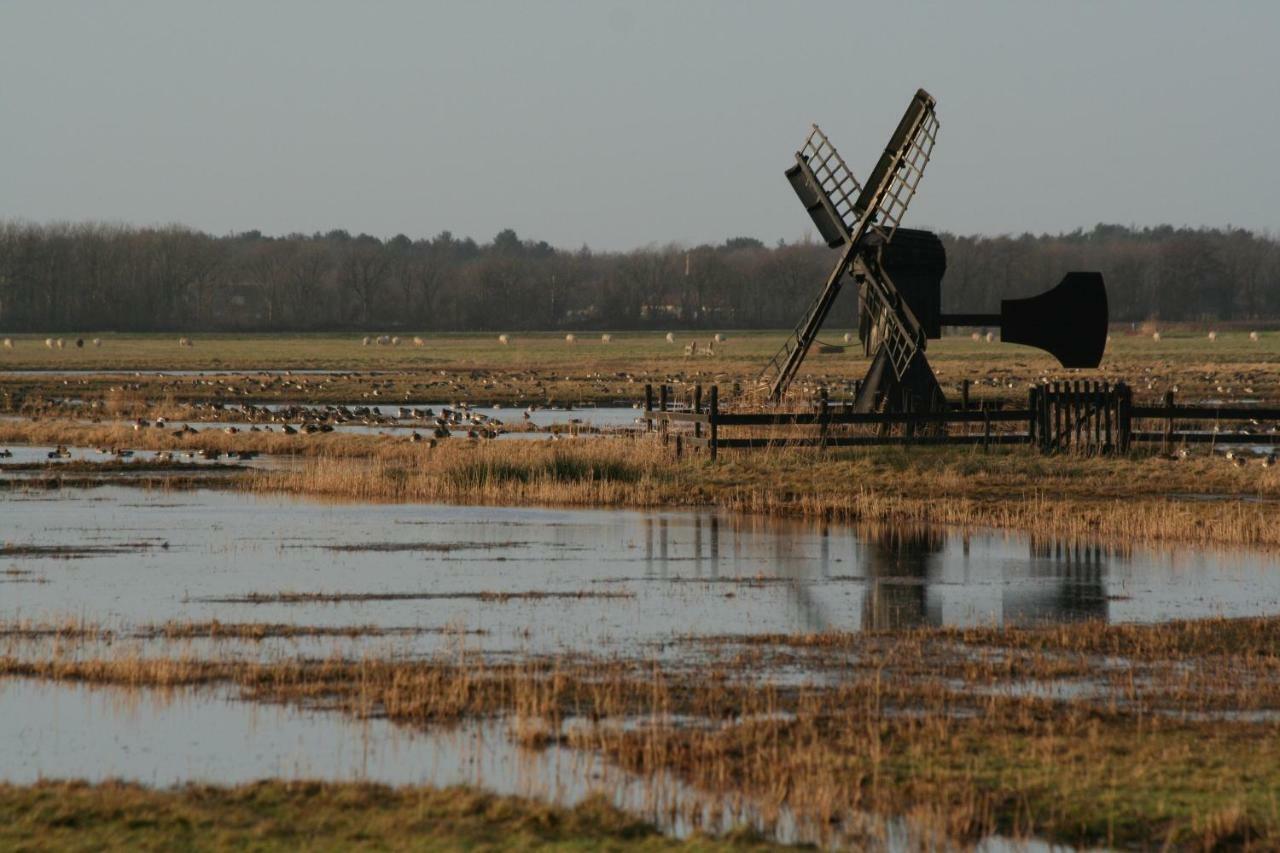 'T Lant Van Texsel De Koog  Esterno foto