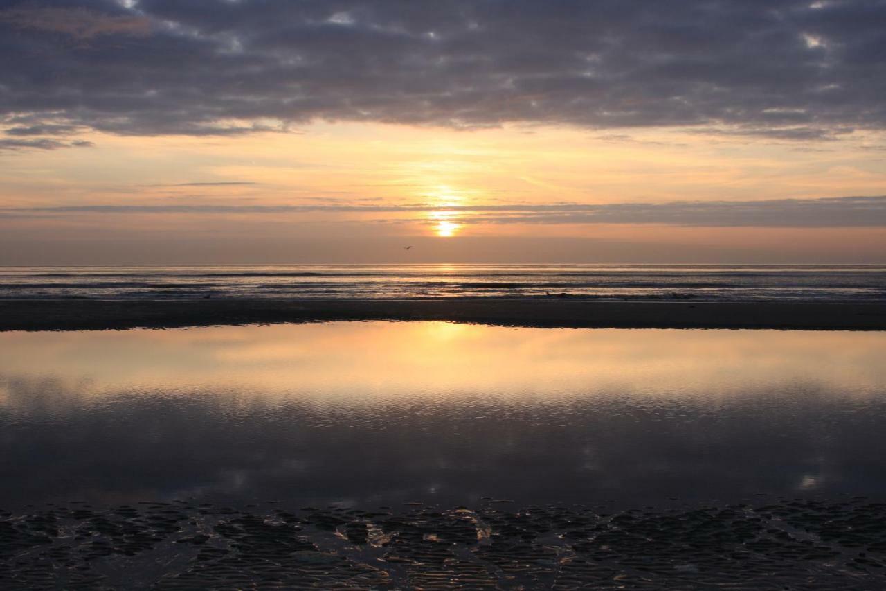 'T Lant Van Texsel De Koog  Esterno foto