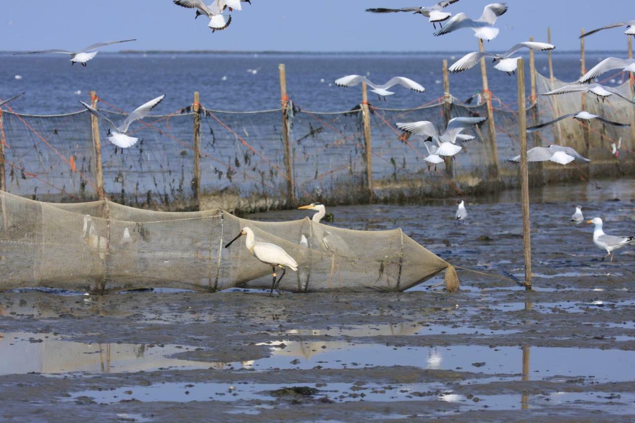 'T Lant Van Texsel De Koog  Esterno foto