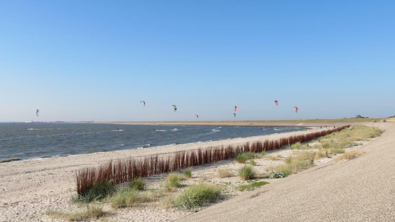 'T Lant Van Texsel De Koog  Esterno foto